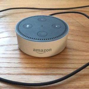 White Amazon Echo